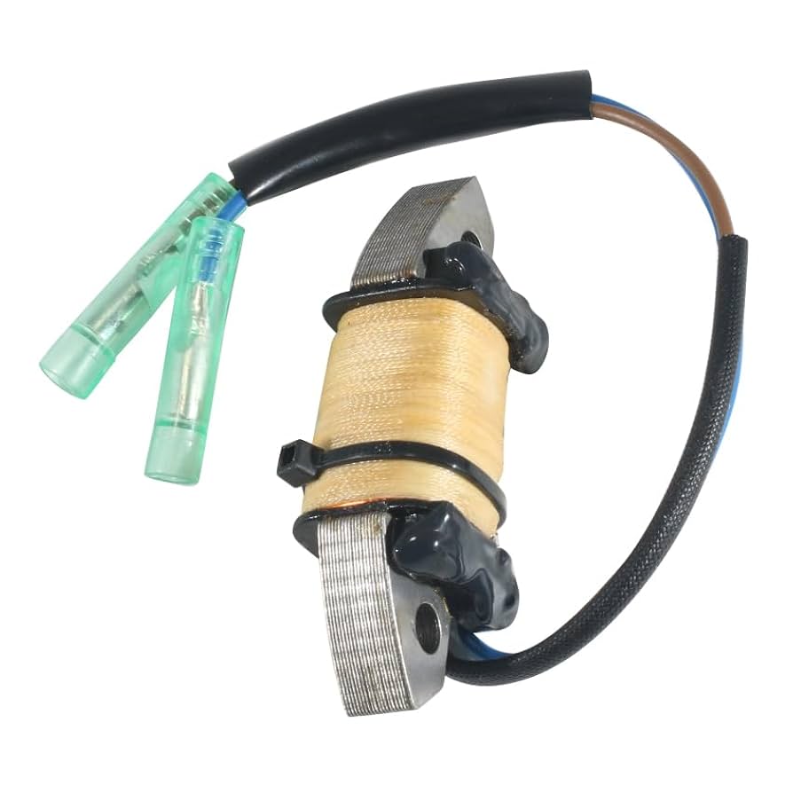 Amazon.com: Magneto Stator, New Stator Replacement OEM: 6L2