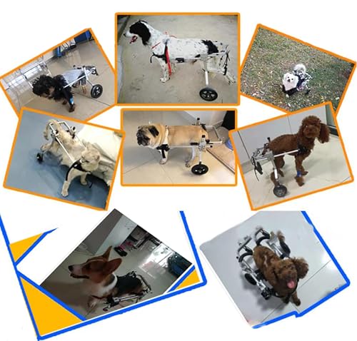 Silla de ruedas para perros con debilidad trasera y soporte de cadera ajustable 3