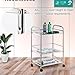 Medical Cart, 3/4-Layer Medical Trolley, Lab Serving Cart with Swivel Casters, Beauty Storage Cart, Shelf Stainless Steel Utility Cart, for Lab, Clinic, Hospital, Salon(One Color-100Cm)