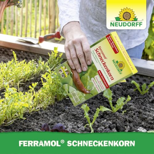 Neudorff Ferramol Schneckenkorn – Zuverlässiger und schneller Schneckenschutz - Extrem Regenfest. Keine toten Schnecken sichtbar… – Ansicht 5