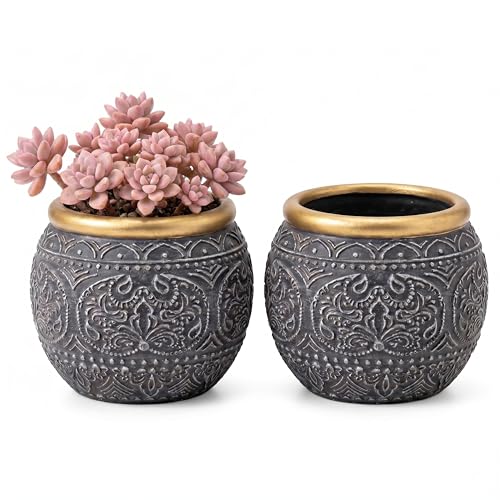 2Pcs 5.9 Inch Cement Planters with Gold Rim