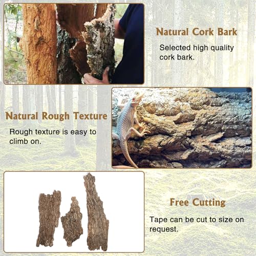 Image of Fhiny 10 PCS Cork Bark Background, 11.6 inch x 7.7 inch Natural Cork Bark for Reptiles Bearded Dragon Climbing Backdrop Terrarium Habitat Wall Decor Accessories for Turtle Gecko Lizard Snake Spider Frog