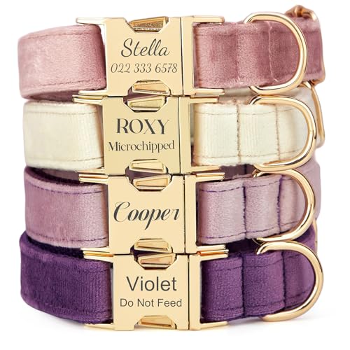 PETAILAUREL Personalized Velvet Dog Collar with...