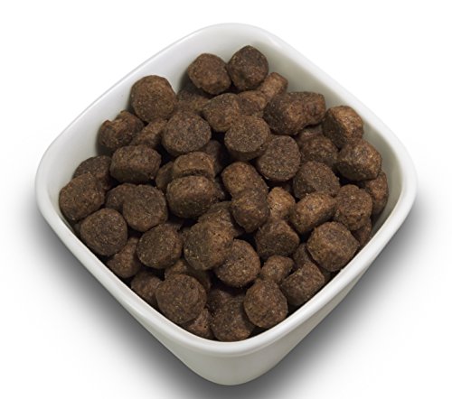 SALiNGO Hundefutter Geflügel mit Gemüse, Trockenfutter, getreidefrei, zuckerfrei, monoprotein