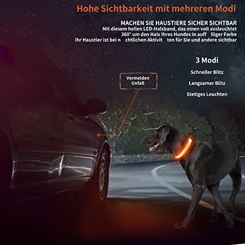 KOSKILL Leuchthalsband Hund Wiederaufladbare USB LED Hundehalsband Wasserdichtes Leuchtendes Hunde Halsband Einstellbare Super Helle für Mittlere Große Hunde (Orange, M)