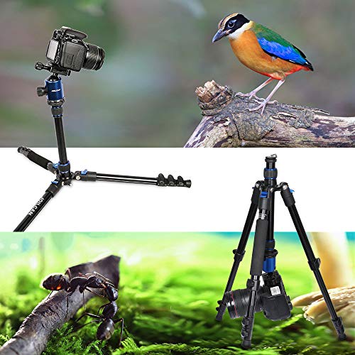 Tripod for Camera, 81" Camera Tripod Stand, 83 inches DSLR Tripods & Monopods, Heavy Duty Travel Tripod for Binoculars Laser Level Spotting Scope Telescope, Professional Complete Tripod Units
