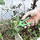 Chiluxendo 2 Stücke Gartenschere Klein, Rosenschere Profi, Pflanzenschere Rosen, Blumenschere Gartenscheren, Gartenscheere Feinschnitt, Schere Garten, Rosenscheren, Pruning Shears, Kleine Astschere