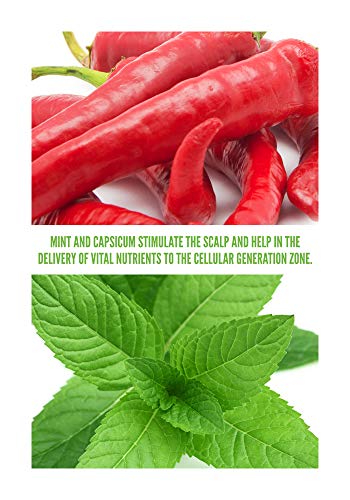 Surface Hair Awaken Therapeutic Conditioner, Healthy Hair Conditioner With Protein, Thickening Conditioner, Treatment For Thinning Hair And Hair Loss #TOP3