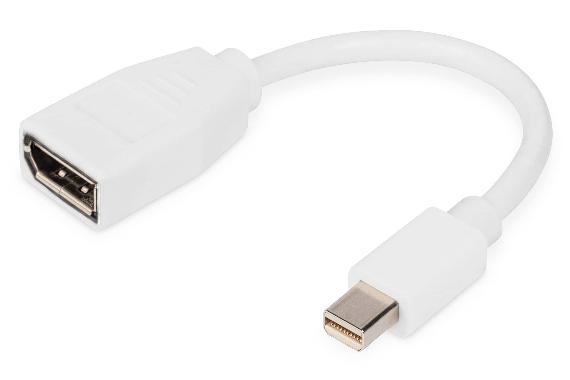 DIGITUS DisplayPort adapter cable – mini DP plug to DP socket – DisplayPort 1.2 – UltraHD 4k 60Hz – 0.15m – White