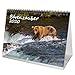 Produktbild Bärenzauber DIN A5 Kalender/Tischkalender 2020 Bären Geschenk-Set: Zusätzlich 1 Gruß- und 1 Weihnachtskarte - Seelenzauber