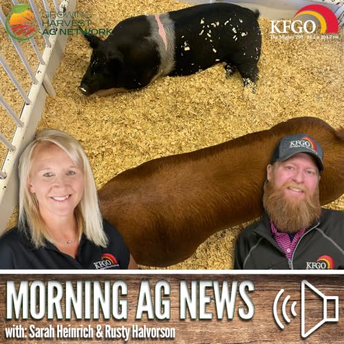 Morning Ag News, July 6, 2026: U.S. pork industry losing millions each week in exports