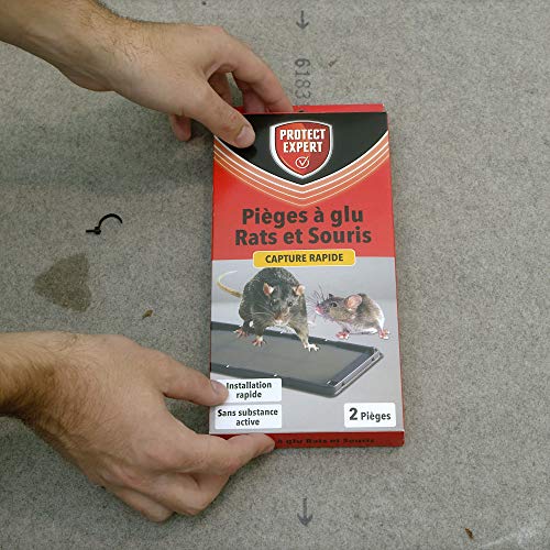 PROTECT EXXPERT RASOUGLU2 Ratten- & muizenvallen voor knaagdieren, 2 stuks - Image 3