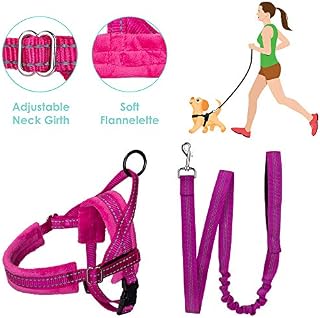 SlowTon No Pull Small Dog Harness and Leash, Heavy Duty Easy To Walk