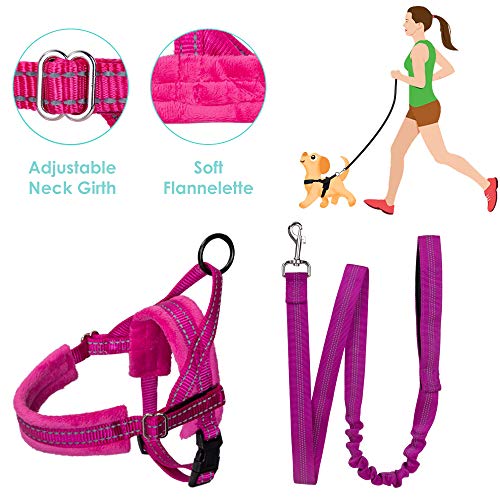 SlowTon No Pull Small Dog Harness and Leash, Heavy Duty Easy To Walk