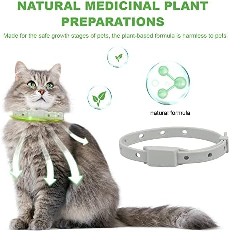 2 Pack Flea Collar for Cats, Adjustable Natural Medicinal Plant Preparations Flea and Tick Collar for Kitten Cats Puppy 33cm/13 inch in Length