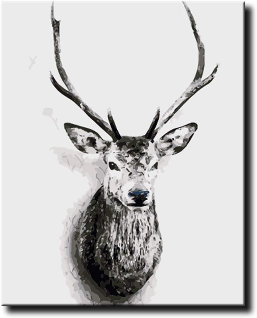 Shukqueen Paint by Number, DIY Oil Painting for Adults, Beginner's, 16X20 Inch, Frameless