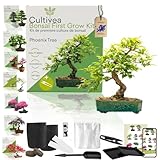 CULTIVEA Kit First Bonsai – Kit Completo con Semi, Accessori e Guida – Bonsai da Colti...