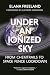 Under an Ionized Sky: From Chemtrails to Space Fence Lockdown