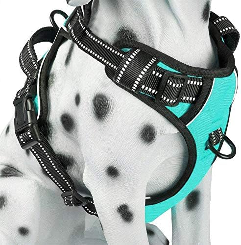 PoyPet No Pull Dog Harness, Reflective Comfortable Vest Harness with Front & Back 2 Leash Attachments and Easy Control Handle Adjustable Soft Padded Pet Vest for Small to Large Dogs (Mint Blue,M)