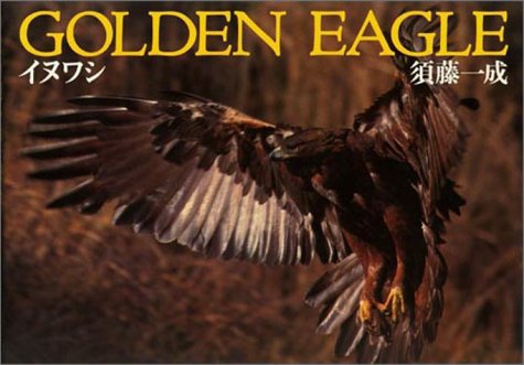 無料電子書籍 おすすめ Golden Eagle―イヌワシ バイ