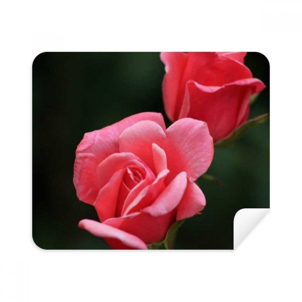 Éliminer les traces de vos lunettes et téléphone avec le chiffon en suède aux roses rouges - 3