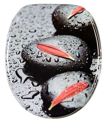 Sanilo WC Sitz mit Absenkautomatik, hochwertiger Toilettendeckel, einfache Montage, stabile Scharniere, Elegance