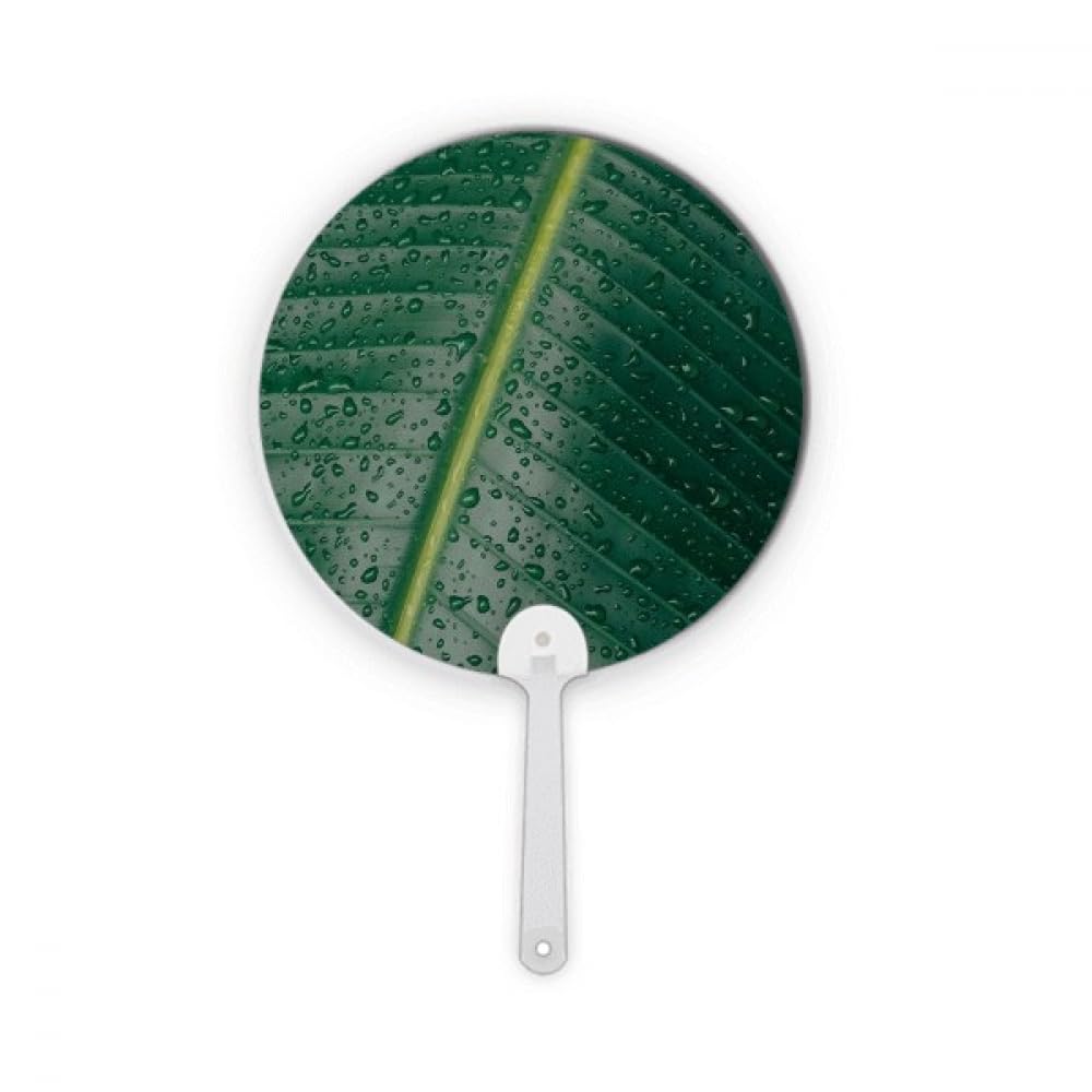 Éventail rond en plastique Nature World pour décorations artisanales