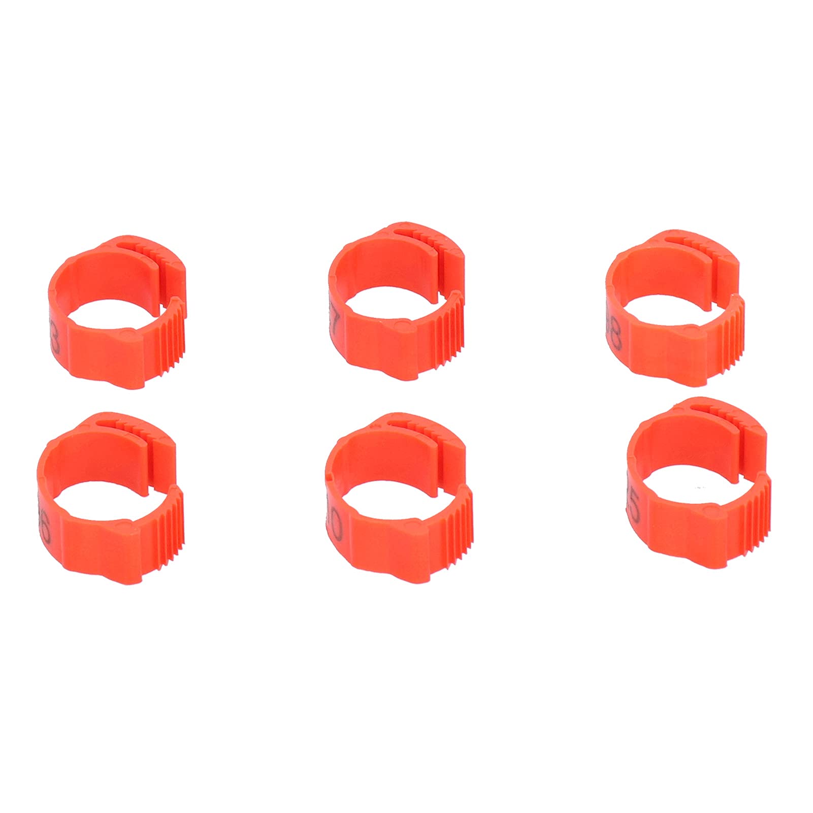 Anelli Per Zampe Divaricate Uccelli EMagTech - 2 Pezzi, 4mm, Arancione - Foto 14