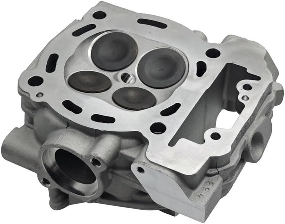 Cylinder Head Assy Compatible With O 1000 ATV UTV QUAD GO KART