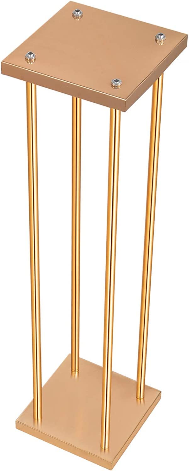 https://m.media-amazon.com/images/I/51ACU2ERqKL.jpg