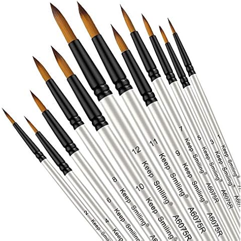 Silithus 12 Piece Professional Paint Brush Set Cover