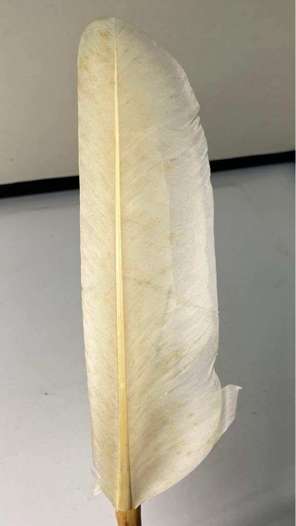 茶道具羽箒3本組セット（紙箱） 2025年最新】三 羽箒 羽の人気