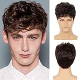 Swiking Men Brown Short Wigs Curly Fluffy Natural Synthetic Hair with Bangs Halloween Daily Full Wig for Male Guy