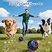 Pipihome Interaktives Hundespielzeug Ball, Hundeball Elektrisch Automatisch Rollender mit LED-Lichtern Spielball, Hundespielzeug Intelligenz für Kleine/mittlere/große Hunde, USB Wiederaufladbar