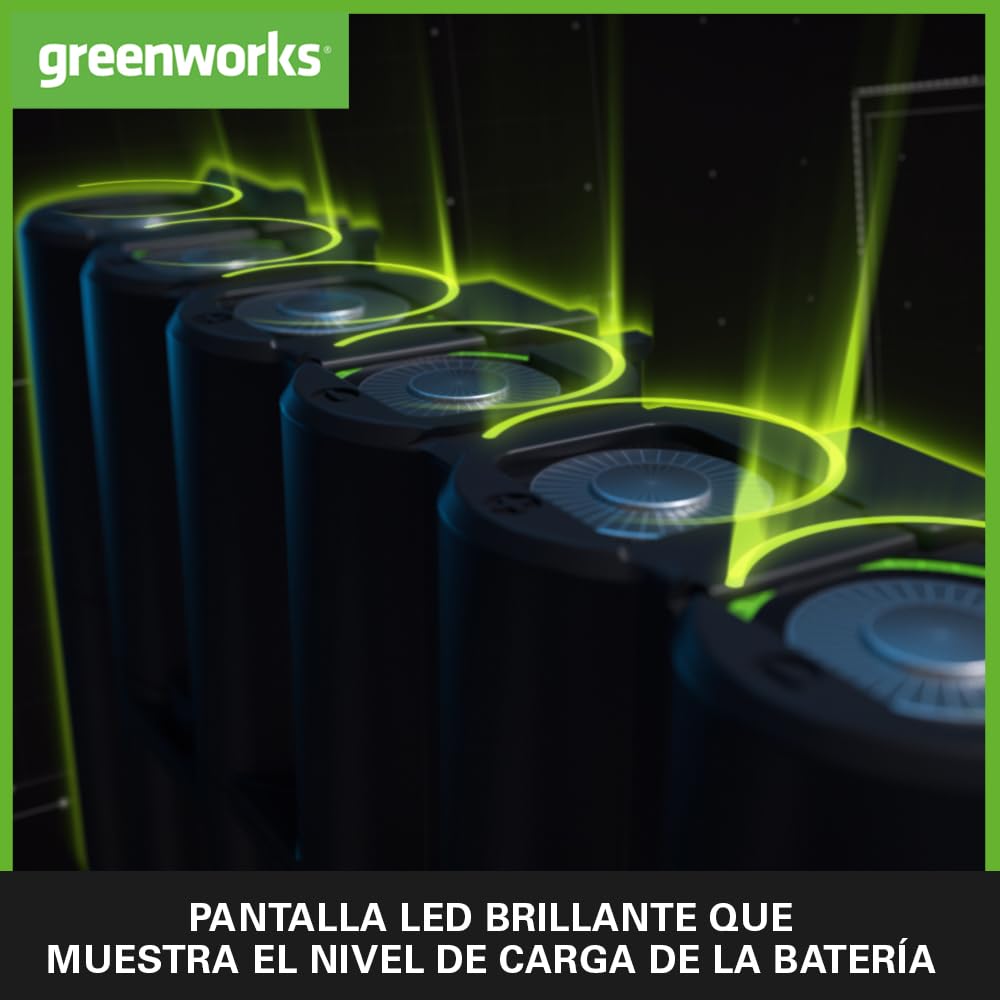Greenworks Batería 24V 4Ah Litio Iones Recargable para Herramientas Eléctricas Jardinería Carga Rápida LED G24B4