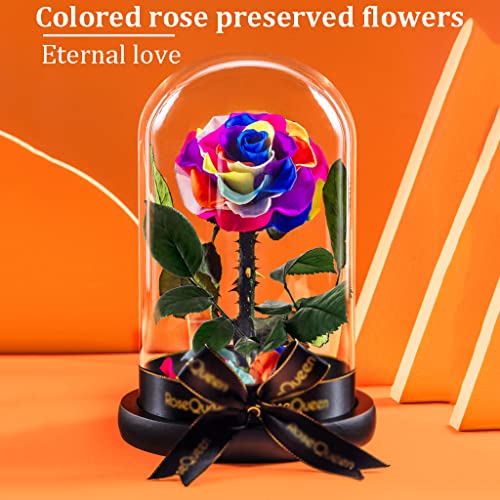 Único Flores preservadas Rosas coloridas Flores reais Flores artificiais Flores preservadas em vidro