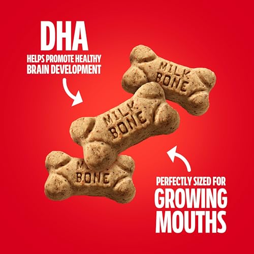Image of Milk-Bone Original Biscuits Dog Treats for Puppies, 6 Boxes | 16-oz. boxes, 250+ puppy treats per box, Mini size, Training treats, Made with DHA to help promote healthy brain development