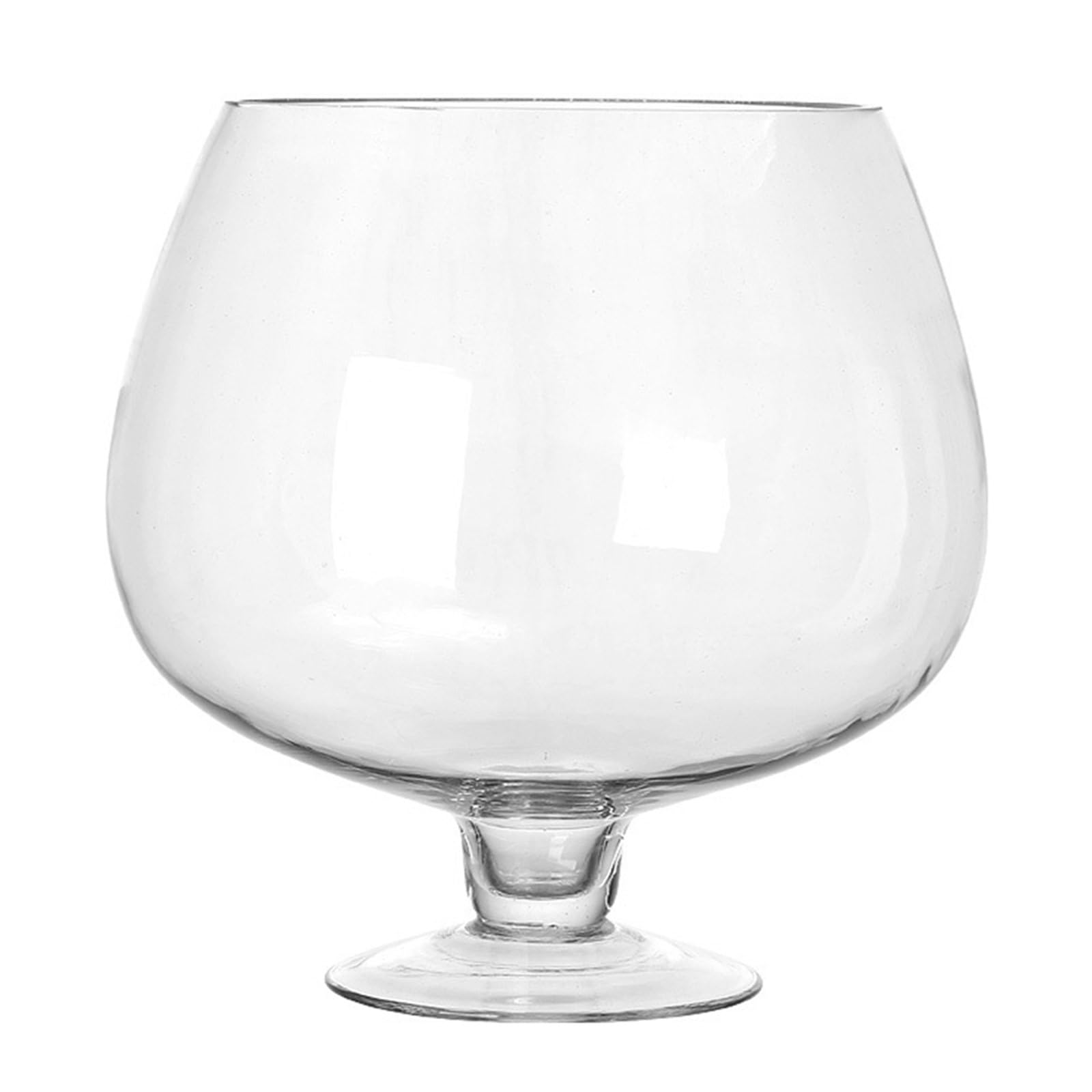 Aquarium transparent en verre facile à nettoyer pour bureau sans entretien