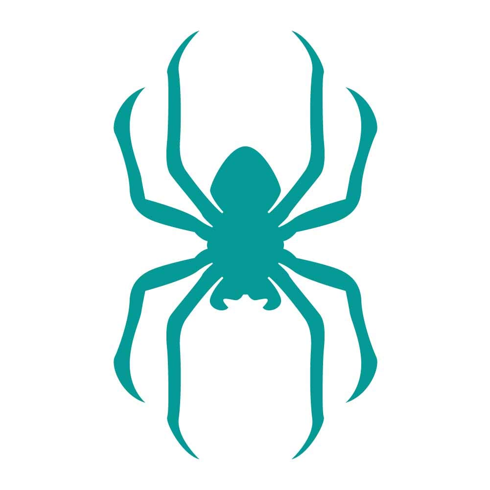 洋書 SPYDERS & SILHOUETTES Amazon.com: Spider Silhouette V4 4 inch Turquoise Indoor
