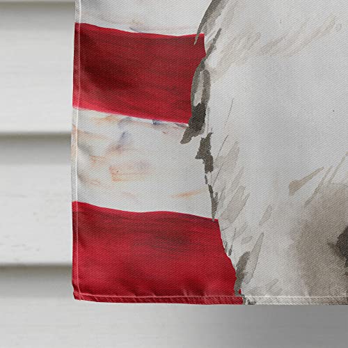 Drapeau Bouvier Bernois USA en toile canevas résistante grand format multicolore - 5