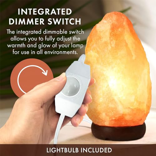 Image of Salt Lamp Cord,Salt Lamp Cord and Base Assembly & Clip for All Himalayan Crystal Salt Lamps -8 Free 15W E12 Base Bulbs for Salt Lamp (White-2P)