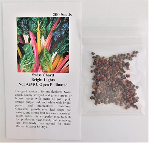 Swiss Chard Bright Lights Fba-7533 (Multi) 200 Non-Gmo, Heirloom Seeds #TOP1