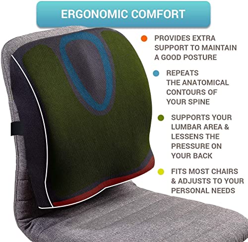 Image of ZAXTY Back Rest Lumbar Support for Chair Back Pillow for Car Best Use for Office Home Travel Cars Seat Provides Low Back Support Improves Posture Provides Comfort |Black|Universal