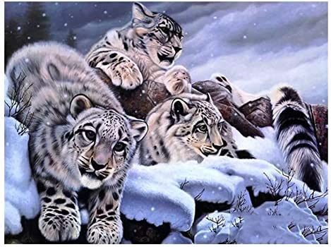 Kit de pintura de diamantes 5D por números para adultos, diseño de leopardo de nieve, pintura de diamantes de imitación de cristal, bordado de punto de cruz, manualidades para decoración de pared del