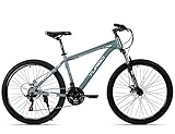 Turbo Bicicleta R-26 TX 6.1 Gris, rodada 26