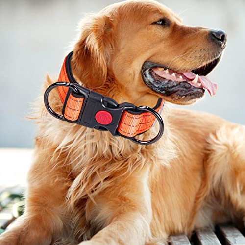 cão ajustáveis | cachorro nylon macio e confortável - Coleira nylon macia e resistente para animais