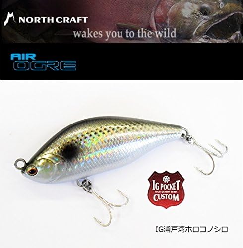 Amazon  ノースクラフト エアーオグル AOG85SLM IG浦戸湾ホロコノシロ 