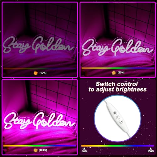 IMEGINA Pink Stay Golden Neon Sign for Wall Decor, USB Powered Stay Golden LED Light Up Sign for Beauty Salon Spa Club Modern Decoration, LED Neon Light for Birthday Gift 14.96”×3.94”