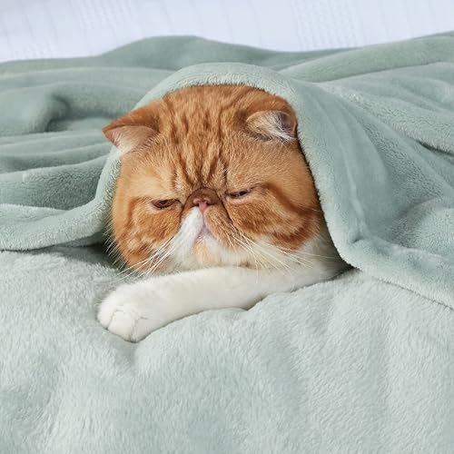Image of Bedsure GentleSoft Fleece Bed Blankets Full Size Sage Green - Soft Lightweight Plush Fuzzy Cozy Luxury Blanket Microfiber, 84x90 inches