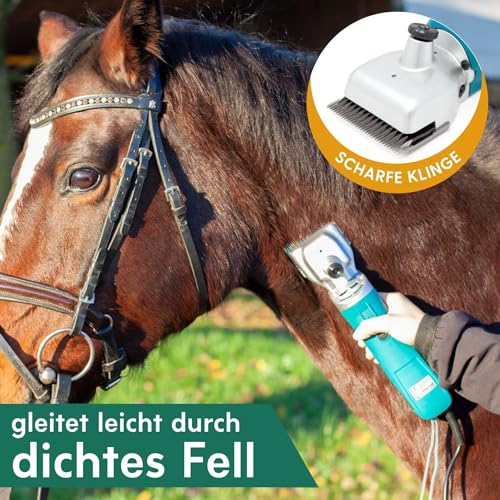 Foto von Agrarzone Schermaschine Pferd PowerCut 230V - leistungsstarke Schermaschine für Pferde - langlebige Pferdeschermaschine - inklusive Schermesser und Schermaschinenöl